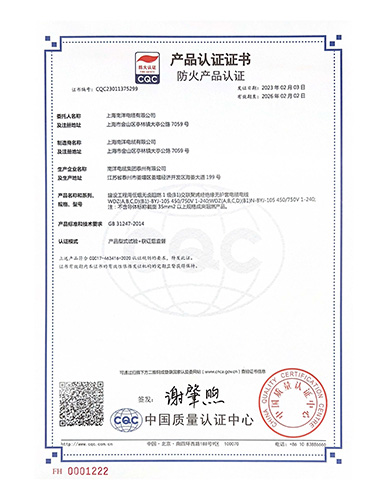 CQC-WDZ(B1)-BYJ_页面_1.jpg