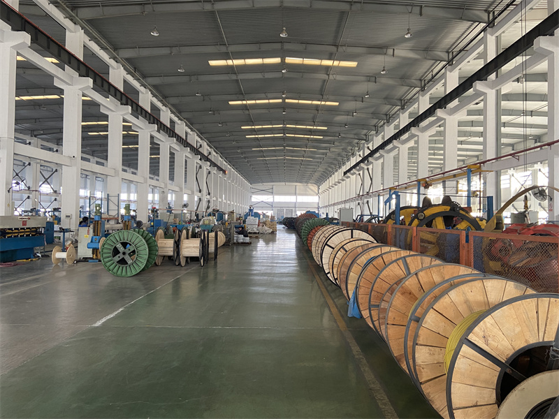 Cable Production Lines (33).jpg