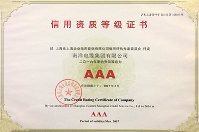 Grade-3 Star Credit Enterprise in Shanghai.jpg
